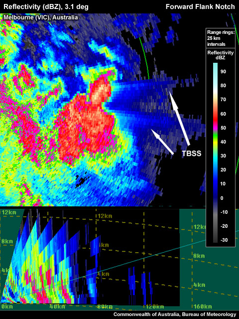 TBSS signatures from hail cores have produced a “false” forward flank notch