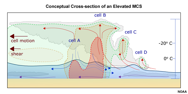 Conceptual cross-section of an elevated MCS with shaded reflectivity contours. Note that the system's downdrafts do not reach the surface, but may undergo gravity wave-type oscillations after entering the stable layer near the ground.  The near-surface air (purple arrows) is not interacting with the elevated multicell.