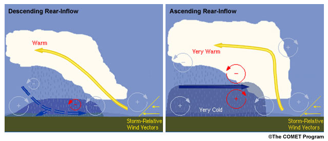 Schematic of an MCS with a descending (left) and non-descending (right) rear-inflow jet as a result of horizontal vorticity balance arguments based on Weisman (1992).