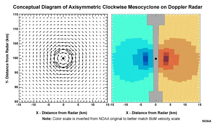 Doppler velocity pattern of a Southern Hemisphere mesocyclone that has peak tangential velocities of 25 m s-1 (49 kt) at a radius of 3 km from the circulation center (black dot); radius of maximum winds is indicated by circle. Arrow length is proportional to wind speed.
