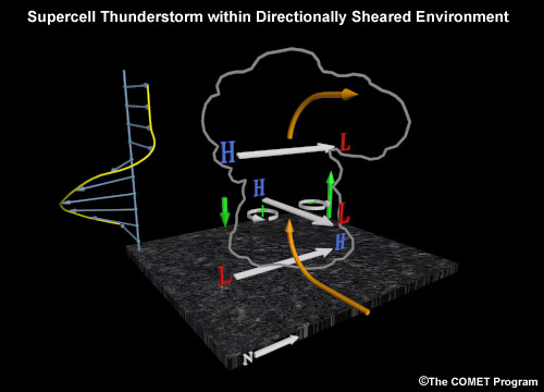 Shear interactions and resulting perturbation pressures within a supercell thunderstorm in a directionally sheared environment