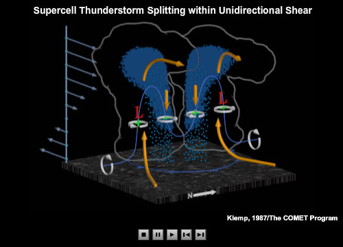 Depiction of supercell thunderstorm development within a unidirectionally sheared environment