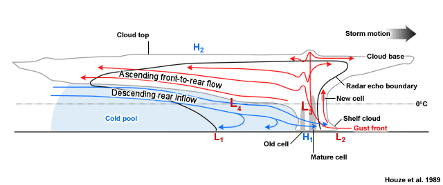 Conceptual model of a squall line with a trailing stratiform area viewed in a vertical cross section oriented perpendicular to the convective line (parallel to its motion). All flows are system relative.