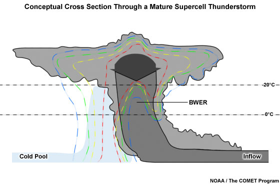 Cross section through a mature supercell thunderstorm showing a conceptual cloud outline and characteristic reflectivity distribution.
