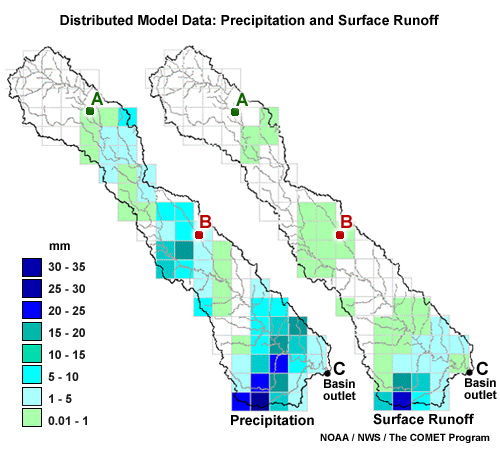 Distributed model data: precipitation and surface runoff
