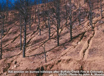 Rill erosion on a burned hillslope after the Buffalo Creek Fire.  