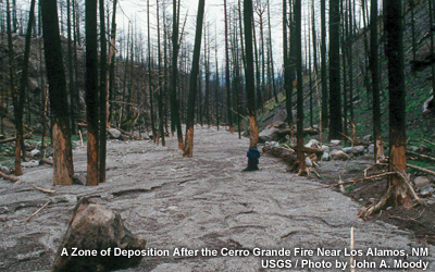 Zone of deposition after the Cerro Grande fire near Los Alamos, NM