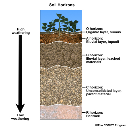 Soil horizons diagram
