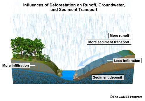 Influences of deforestation on runoff, groundwater, and sediment transport