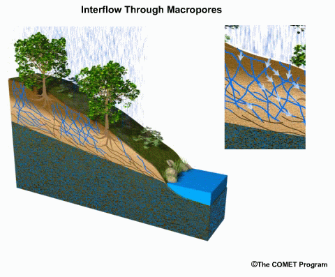 Interflow through macropores