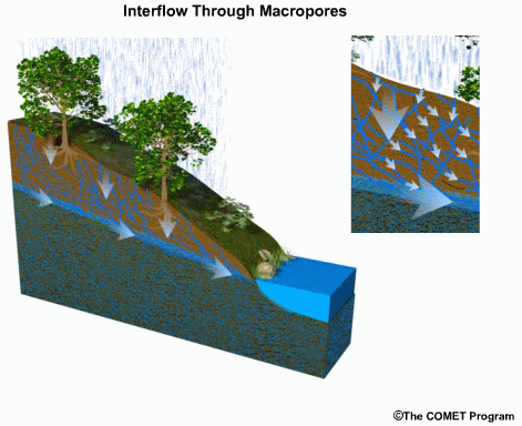 Interflow thru macropores