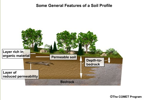 General soil profile features
