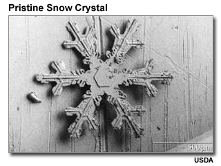 Pristine snow crystal