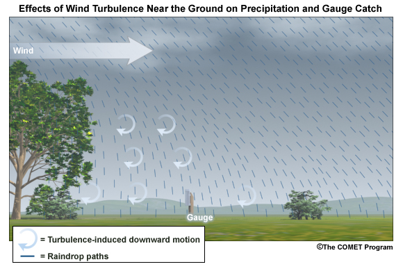 Effects of wind turbulence near the ground on precipitation and gauge catch - wind blockage by trees