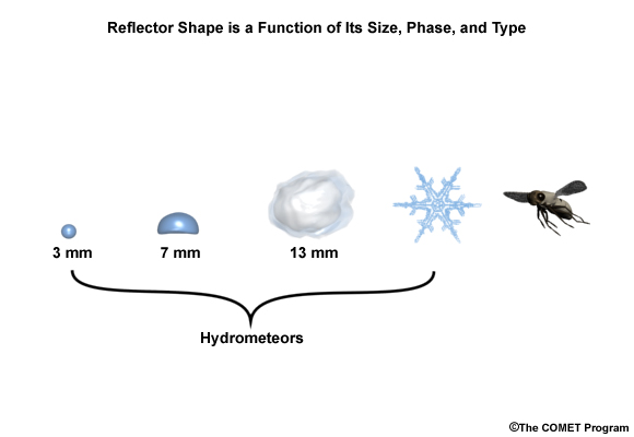 Reflector shape is a function of its size, phase, and type