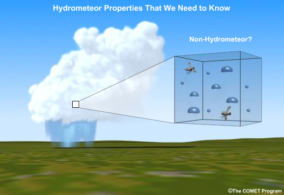 Convective storm illustration with close up of non-hydrometeors