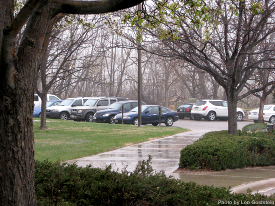 Rainy sidewalk and parking lot