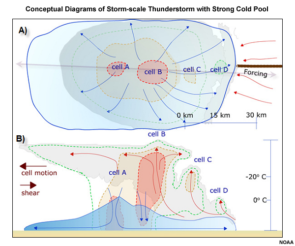 Conceptual model of a small multicell with a strong cold pool (shaded in blue).