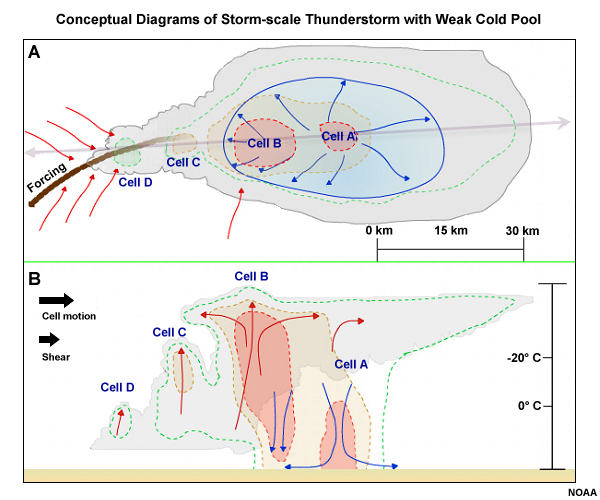 Top down (A) and side-on (B) views of a conceptual multicell with a weak cold pool.