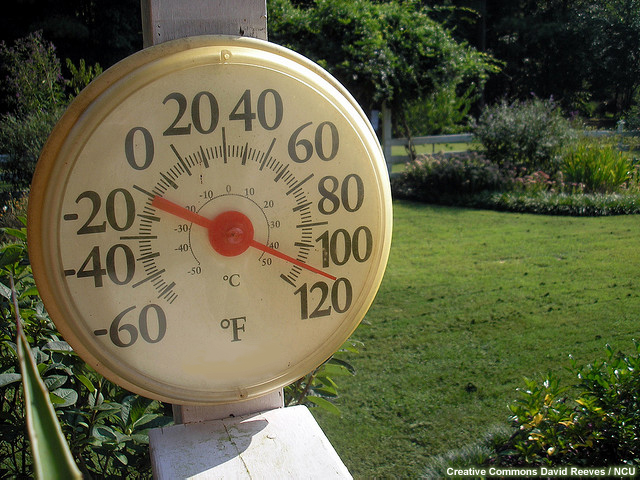 Thermometer reading 110 degrees F