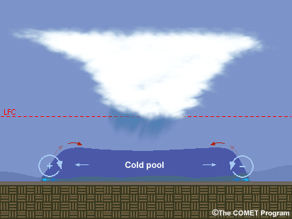Schematic showing expanding cold pool with roll vortices along margins