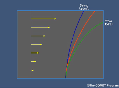 Principles of Convection III: Shear and Convective Storms