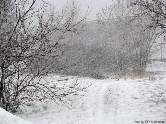 Blowing snow 