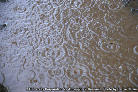Rainfall in a puddle