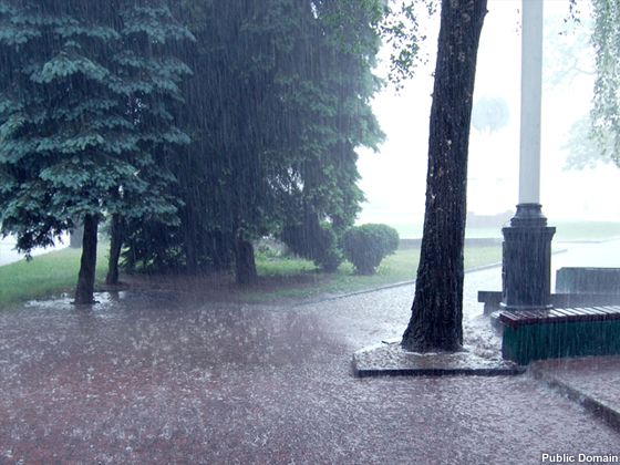 Heavy rainfall falling vertically