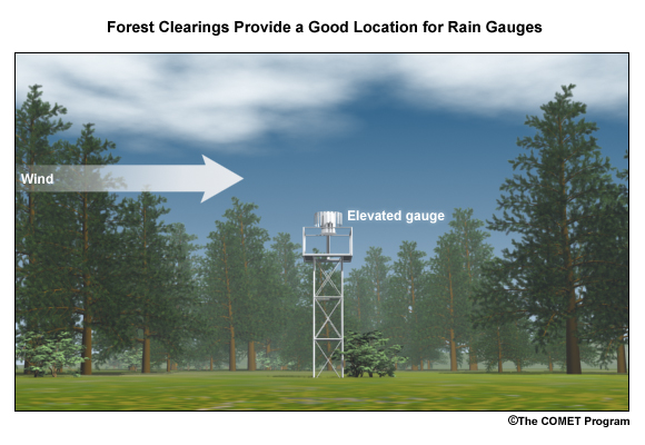 Elevated gauge in a forest clearing