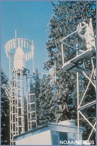 Elevated rain gauge