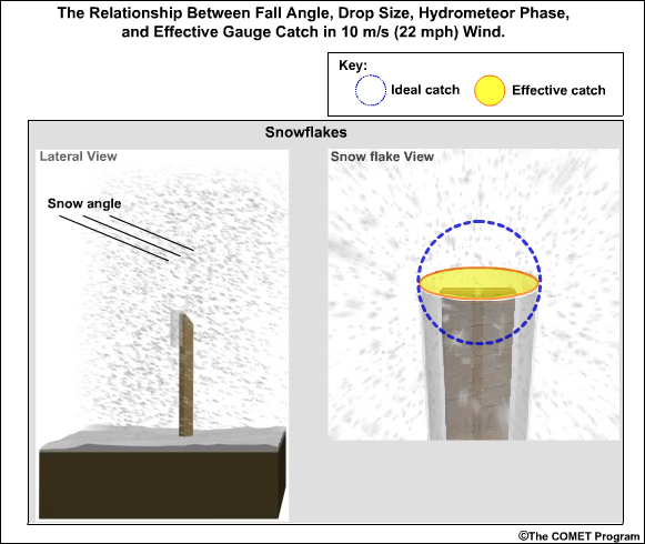 Relationship between fall angle, phase and gauge catch at 10 m/s wind for snowflakes