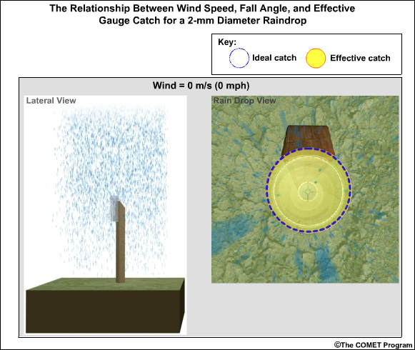 Fall angle and gauge catch for 2-mm diameter raindrops at 0 m/s wind speed 